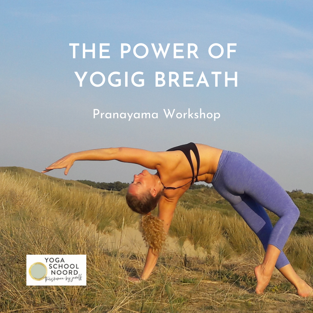 The Power of Yogic Breath - Pranayama workshop